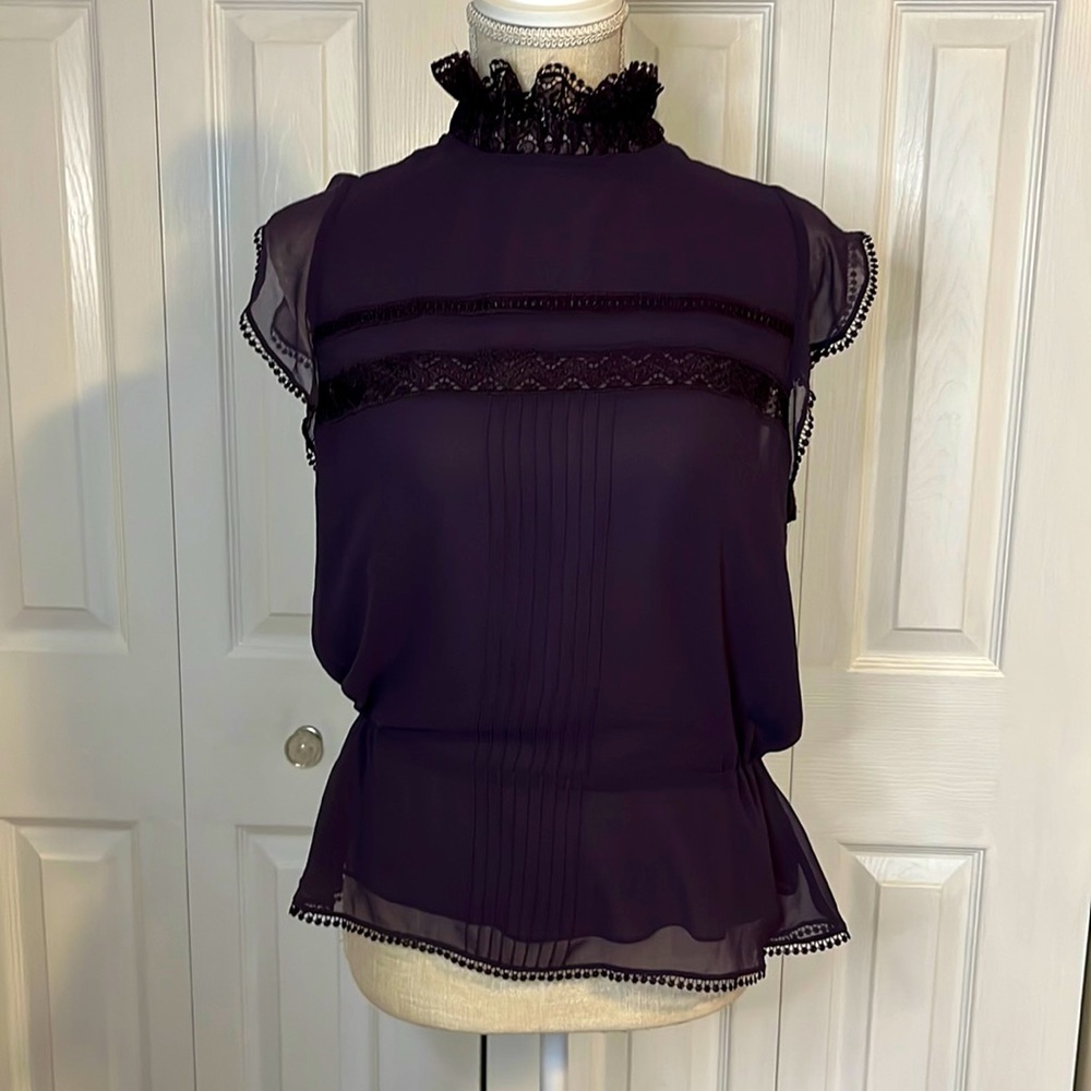 Chelsea 28 Nordstrom’s Beautiful Sheer Lace Button Blouse